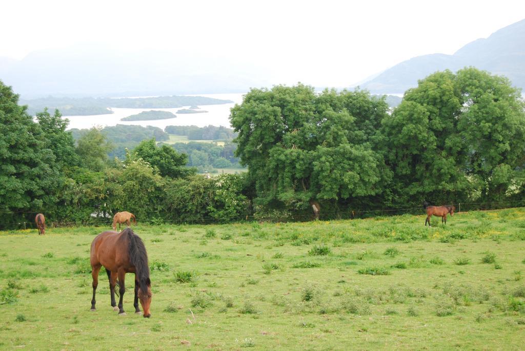 Old Killarney Cottages Eksteriør billede