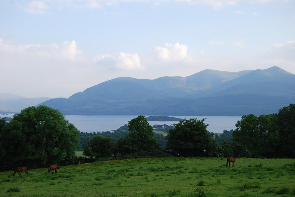 Old Killarney Cottages Eksteriør billede