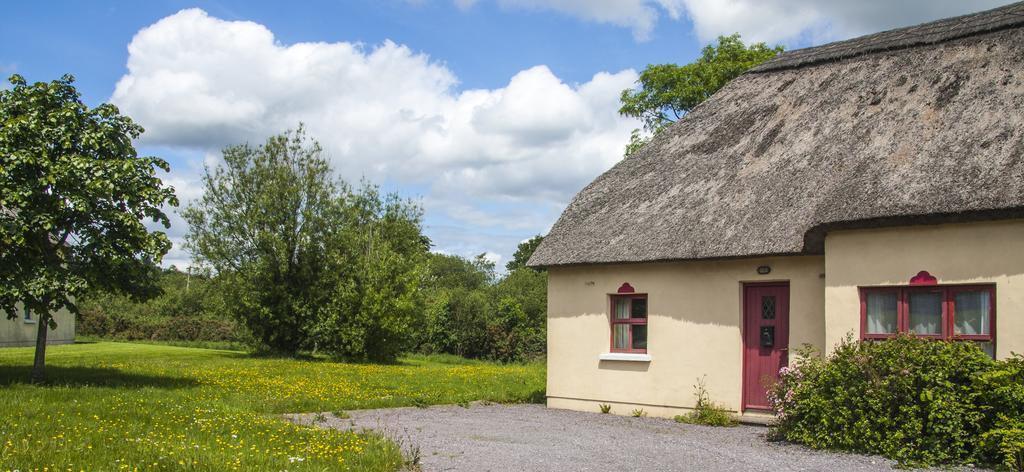 Old Killarney Cottages Eksteriør billede